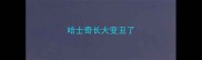哈士奇长大变丑了
