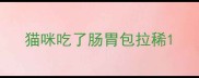 猫咪吃了肠胃包拉稀