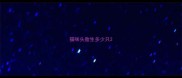 猫咪头胎生多少只