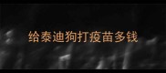 给泰迪狗打疫苗多钱