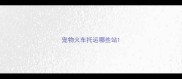 宠物火车托运哪些站