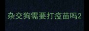 杂交狗需要打疫苗吗