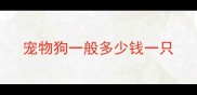 宠物狗一般多少钱一只