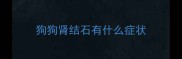 狗狗肾结石有什么症状