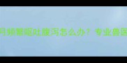 边境牧羊犬幼犬2个月频繁呕吐腹泻怎么办专业兽医给出的5步护理指南