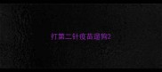 打第二针疫苗遛狗