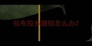 拉布拉多腿短怎么办