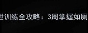 拉布拉多幼犬排泄训练全攻略3周掌握如厕技巧的实用指南