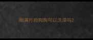 刚满月的狗狗可以洗澡吗