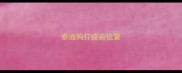 泰迪狗打疫苗位置