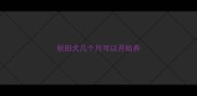 秋田犬几个月可以开始养