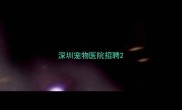 深圳宠物医院招聘