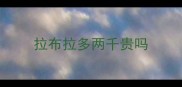 拉布拉多两千贵吗