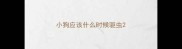 小狗应该什么时候驱虫
