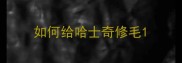 如何给哈士奇修毛