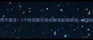 狗狗脏了却不能洗5个妙招教你轻松解决脏狗烦恼宠物护理干货
