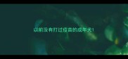 以前没有打过疫苗的成年犬