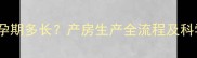 边牧母犬怀孕期多长产房生产全流程及科学护理指南