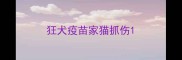 狂犬疫苗家猫抓伤