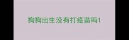 狗狗出生没有打疫苗吗