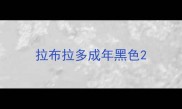 拉布拉多成年黑色