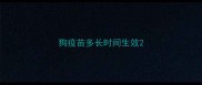 狗疫苗多长时间生效