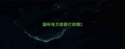 猫咪每天都要打喷嚏