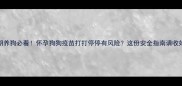 孕期养狗必看怀孕狗狗疫苗打打停停有风险这份安全指南请收好