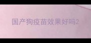国产狗疫苗效果好吗