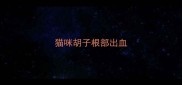 猫咪胡子根部出血