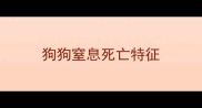 狗狗窒息死亡特征