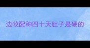 边牧配种四十天肚子是硬的