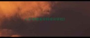山东宠物美容师培训学校