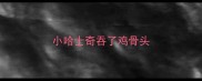 小哈士奇吞了鸡骨头