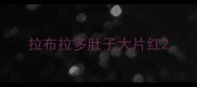 拉布拉多肚子大片红