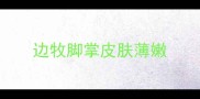 边牧脚掌皮肤薄嫩