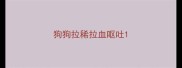 狗狗拉稀拉血呕吐