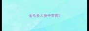 金毛多大身子变宽