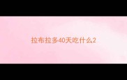 拉布拉多40天吃什么