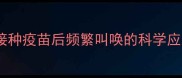 博美犬接种疫苗后频繁叫唤的科学应对指南