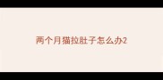 两个月猫拉肚子怎么办