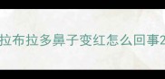 拉布拉多鼻子变红怎么回事