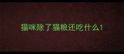 猫咪除了猫粮还吃什么