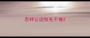 怎样让边牧毛不卷