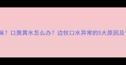 边牧口水有异味口臭黄水怎么办边牧口水异常的5大原因及专业护理指南