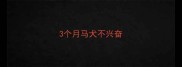 3个月马犬不兴奋