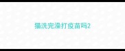 猫洗完澡打疫苗吗