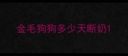 金毛狗狗多少天断奶