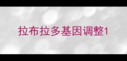 拉布拉多基因调整
