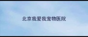 北京我爱我宠物医院